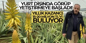 Yurt dışında görüp yetiştirmeye başladı!