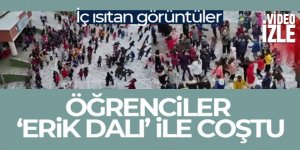 Başkent'te ilkokul öğrencileri “Erik Dalı” ile coştu