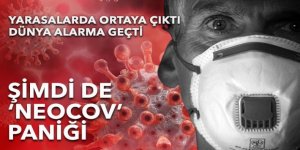 Yarasalarda ortaya çıkan yeni tehlike “NeoCov” korkuttu, DSÖ açıklama yaptı