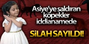 Asiye'ye saldıran köpekler iddianamede silah sayıldı