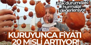 Kuruyunca fiyatı 20 misli artıyor