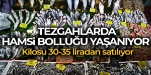 Tezgahlarda hamsi bolluğu yaşanıyor