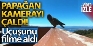 Papağan çaldığı kamera ile uçuşunu filme aldı