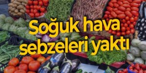 Soğuk vurdu: Fiyatlar yüzde 50 arttı