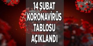 14 Şubat koronavirüs tablosu açıklandı