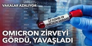 Omicron zirveyi gördü yavaşlıyor