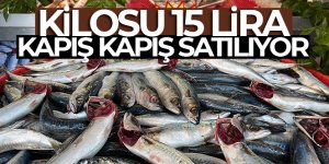 Kilosu 15 lira, kapış kapış satılıyor