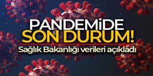 Son 24 saatte korona virüsten 132 kişi hayatını kaybetti