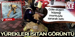 Göle düşen köpeği montuyla sararak ısıttı