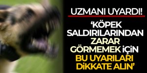 Köpek saldırılarından zarar görmemek için bu uyarıları dikkate alın