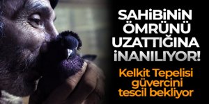 Sahibinin ömrünü uzatan güvercin: Kelkit Tepelisi