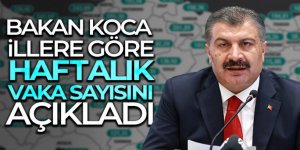 İllere göre haftalık vaka sayısı açıklandı