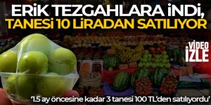 Erik tezgaha indi, tanesi 10 liradan satılıyor