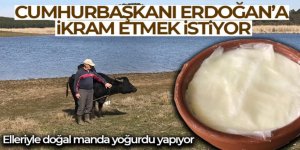 Elleriyle yaptığı doğal manda yoğurdunu Cumhurbaşkanı Erdoğan'a ikram etmek istiyor