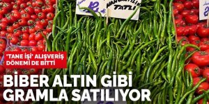 'Tane işi' alışveriş devri bitti: Biber altın gibi gramla satılıyor