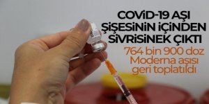 İspanya'da Covid-19 aşı şişesinin içinden sivrisinek çıktı