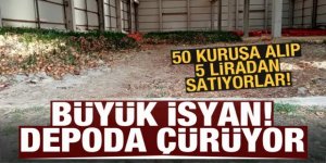 50 kuruşa alıp 5 liradan satıyorlar! Çürümesine engel olamadılar