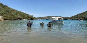 Bodrum'da sahil ve yol kenarları atıktan temizlendi