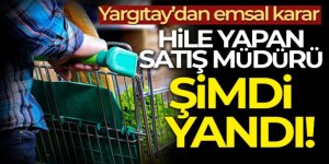 Yargıtay'dan emsal karar! Hile yapan satış müdürü tazminatsız kovuldu