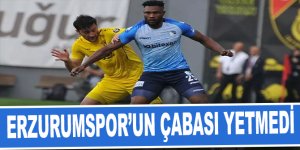 Parada fayda etmedi: İstanbulspor - Erzurumspor maç sonucu: 0-1