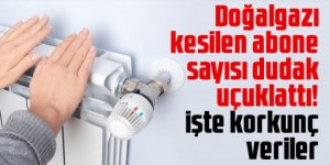 Doğalgazı kesilen abone sayısı dudak uçuklattı!