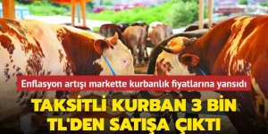 Markette taksitli kurban 3 bin TL'den satışa çıktı