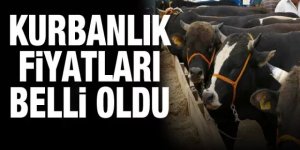 Kurbanlık fiyatları belli oldu