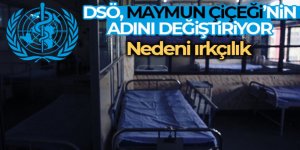 Maymun çiçeği virüsünün ismi ırkçılık riski nedeniyle yeniden adlandıracak