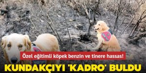 Kundakçıyı 'Kadro' buldu... Özel eğitimli köpek benzin ve tinere hassas!