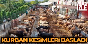 Erzurum'da kurban kesimleri başladı