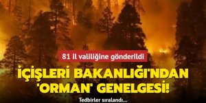 İçişleri Bakanlığı'ndan 'orman' genelgesi! 81 il valiliğine gönderildi