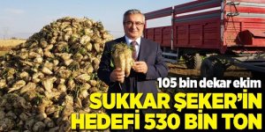 Sukkar, 530 bin ton pancar üretimi hedefliyor