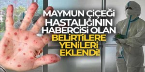 Çiçek aşısı, maymun çiçeğine karşı yüzde 85 koruyor