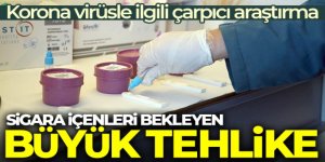 Korona virüsle ilgili çarpıcı araştırma: 'Sigara içenler daha korumasız'