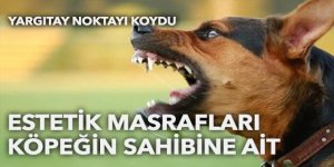 Estetik masraflarını köpeğin sahibi öder