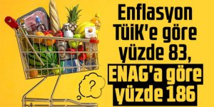 Enflasyon TÜİK'e göre yüzde 83, ENAG'a göre yüzde 186