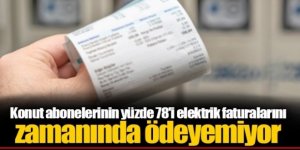 Her 5 kişiden 4'ü elektrik faturasını zamanında ödeyemiyor