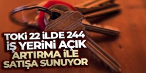 TOKİ 22 ilde 244 iş yerini açık artırma ile satışa sunuyor