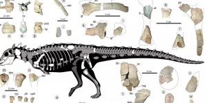 244 milyon yıl önce yaşamış "Garip Luoping Dinozoru" keşfedildi