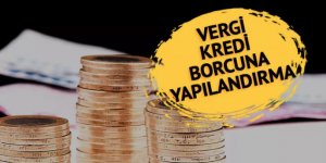 Vergi ve kredi borcuna yapılandırma!