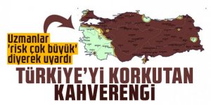 Türkiye'yi korkutan kahverengi! Uzmanlar uyardı, risk çok büyük