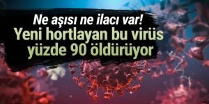 Yeni hortlayan bu virüs yüzde 90 öldürüyor