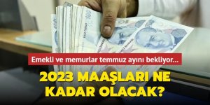 Milyonlarca kişi temmuz ayını bekliyor...