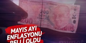 Mayıs ayı enflasyonu açıklandı