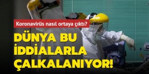 Koronavirüs nasıl ortaya çıktı?