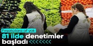 81 ilde gıda denetimleri başladı