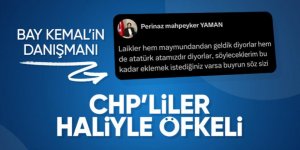 CHP'de danışman krizi sürüyor: Perinaz Mahpeyker Yaman'dan parti tabanına sert sözler