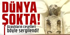 Dünya şokta: Meksika uzaylı cesetlerini sergiledi