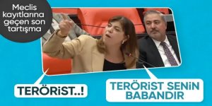 Meral Danış Beştaş'tan AK Partili vekile: Terörist senin babandır