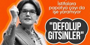 Meral Akşener 'defolup gitsinler' dedi